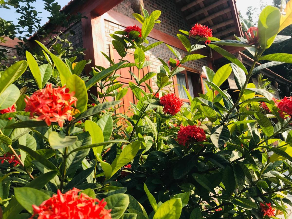 Tam Coc Friendly Homestay نينه بينه المظهر الخارجي الصورة