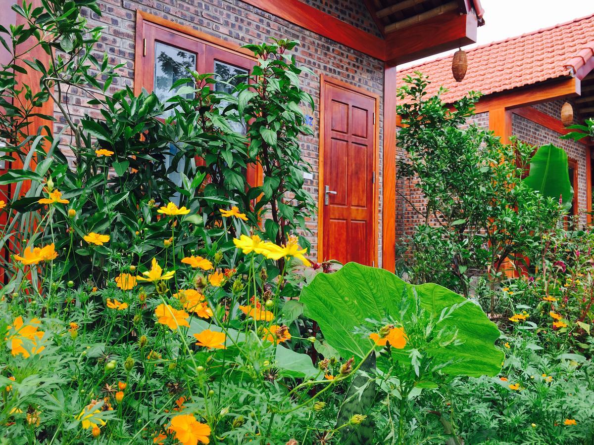 Tam Coc Friendly Homestay نينه بينه المظهر الخارجي الصورة