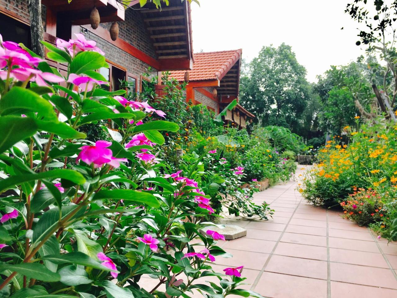 Tam Coc Friendly Homestay نينه بينه المظهر الخارجي الصورة