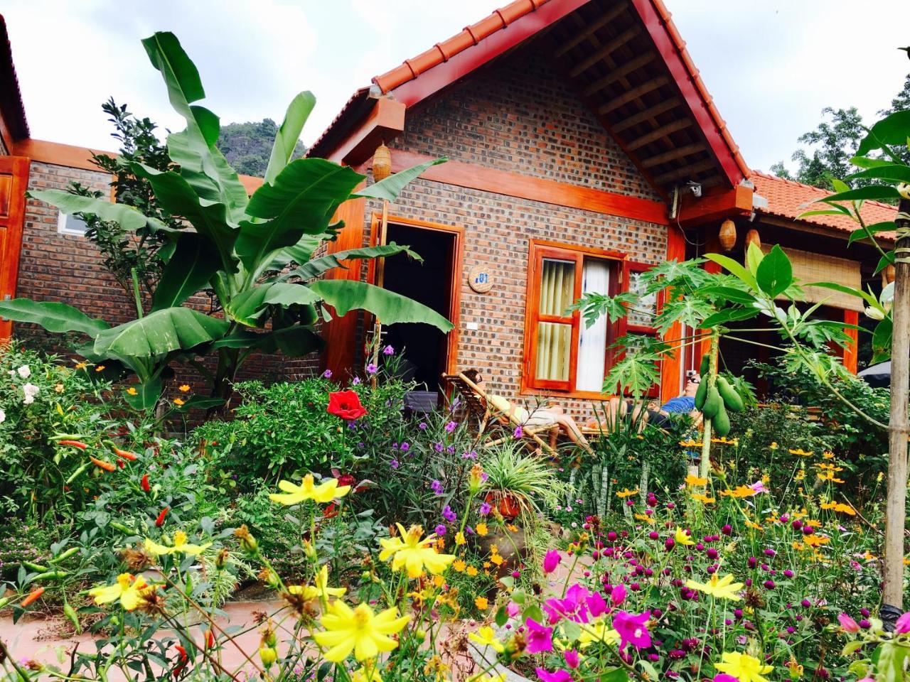 Tam Coc Friendly Homestay نينه بينه المظهر الخارجي الصورة