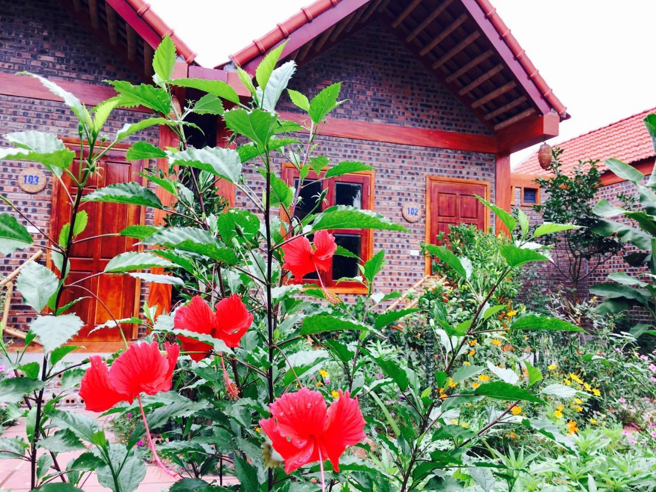 Tam Coc Friendly Homestay نينه بينه المظهر الخارجي الصورة