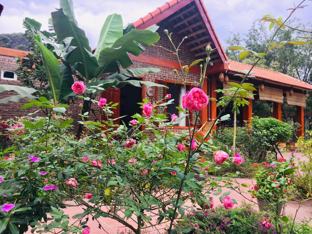 Tam Coc Friendly Homestay نينه بينه المظهر الخارجي الصورة